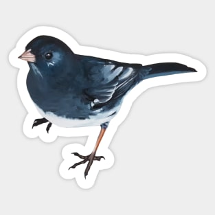 Dark-eyed Junco - bird painting (no background) Sticker